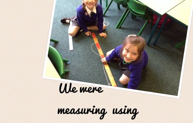 Image of Robins Measuring