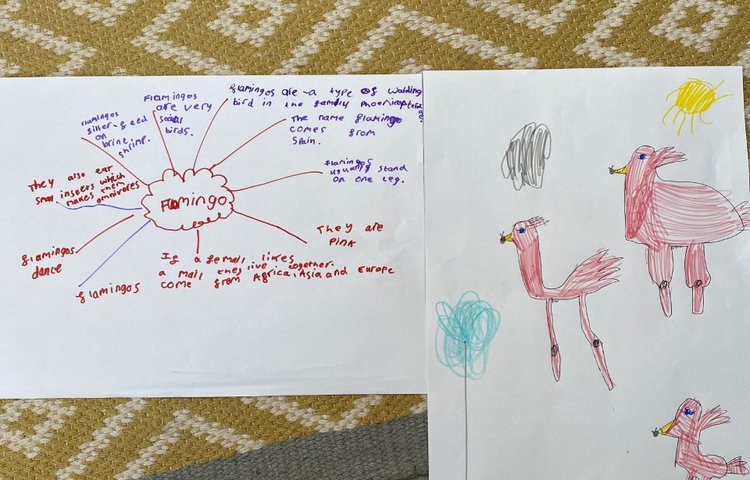 Image of Herons home learning
