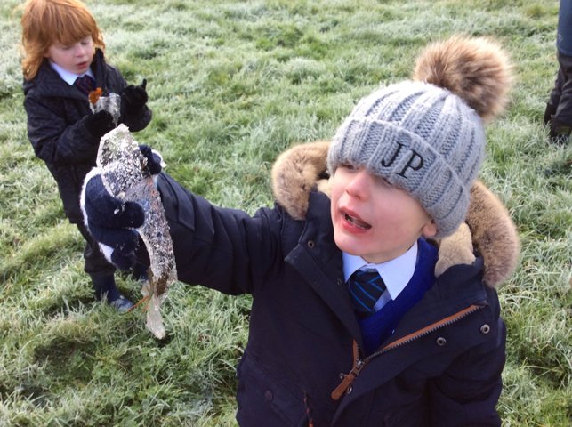 Image of Frosty Day Fun