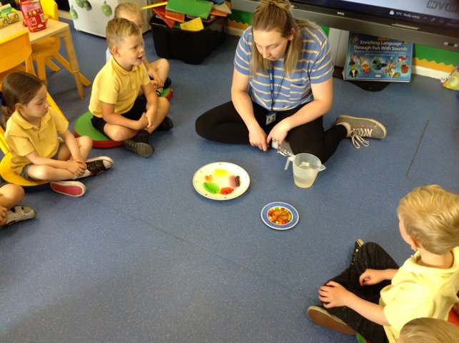 Image of Science experiment with colours