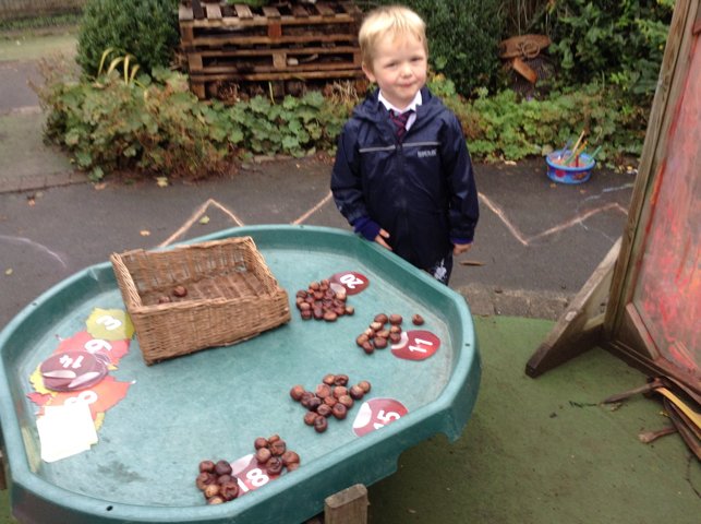 Image of Conker Counting!