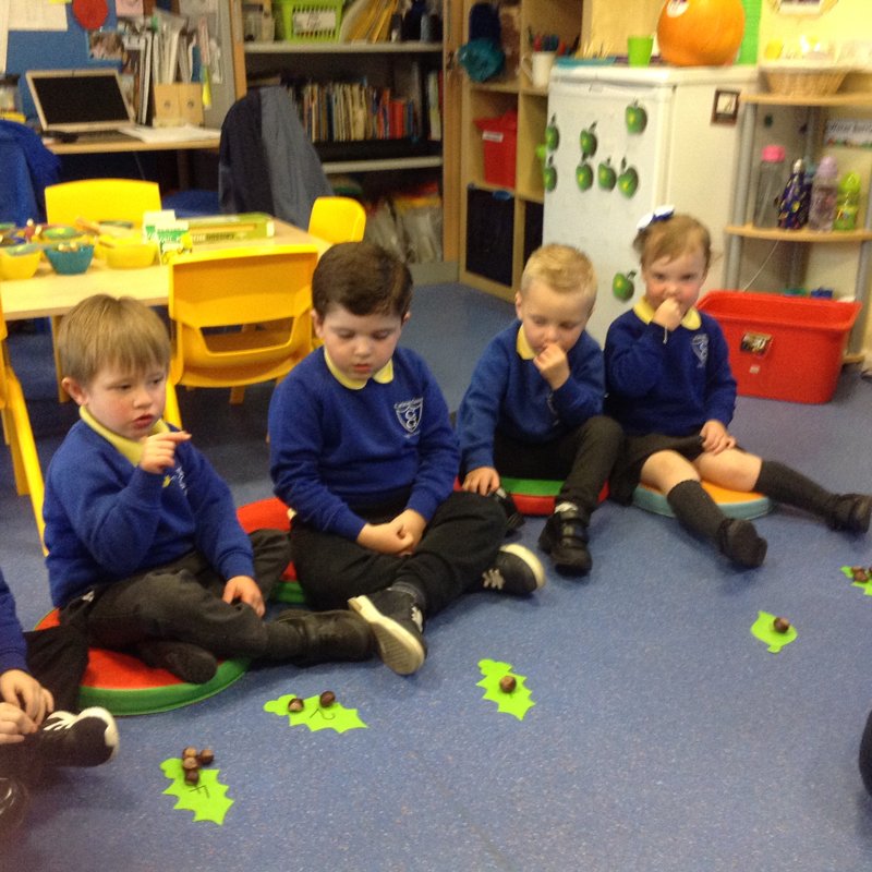 Image of Number counting Conkers